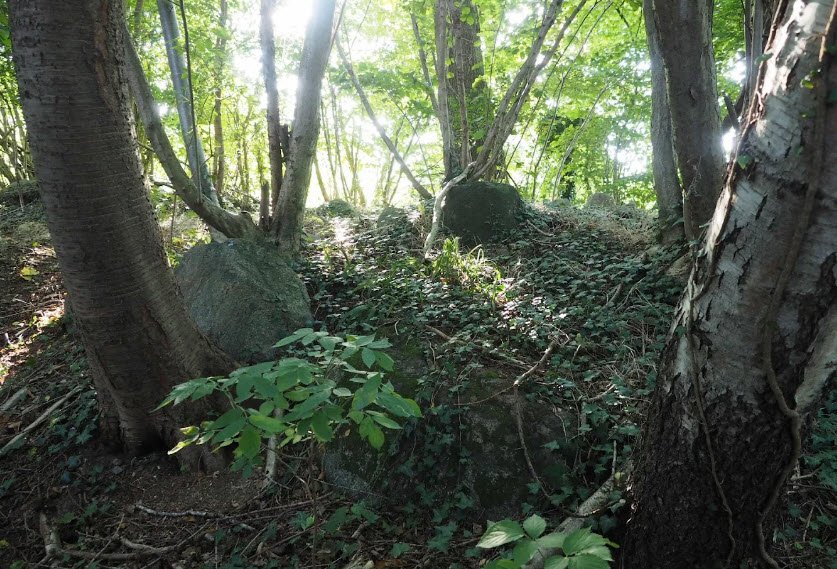 Großsteingrab Testorf, Germany